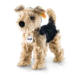 Terri Welsh Terrier26...
