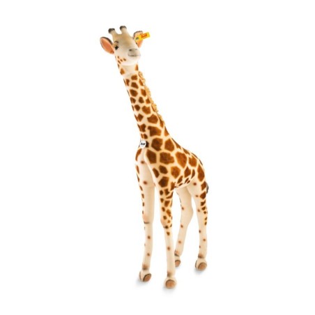 STUDIO GIRAFFE 150