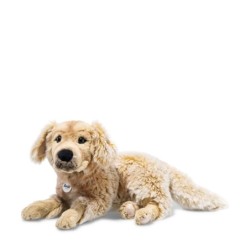 Andor Golden Retriever 45...